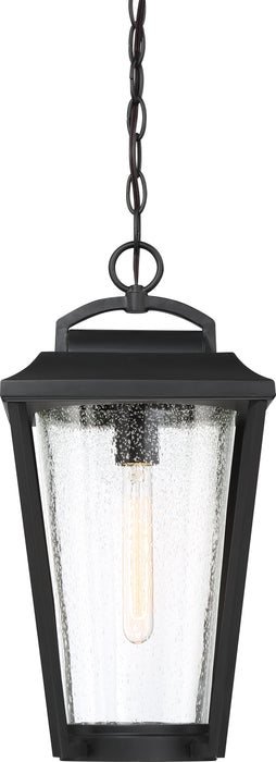 Lakeview One Light Hanging Lantern in Aged Bronze / Clear