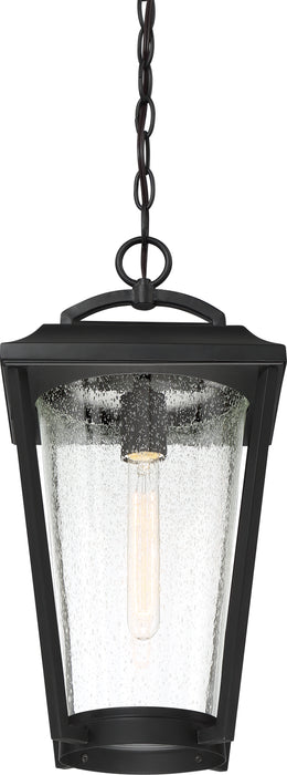 Lakeview One Light Hanging Lantern in Aged Bronze / Clear