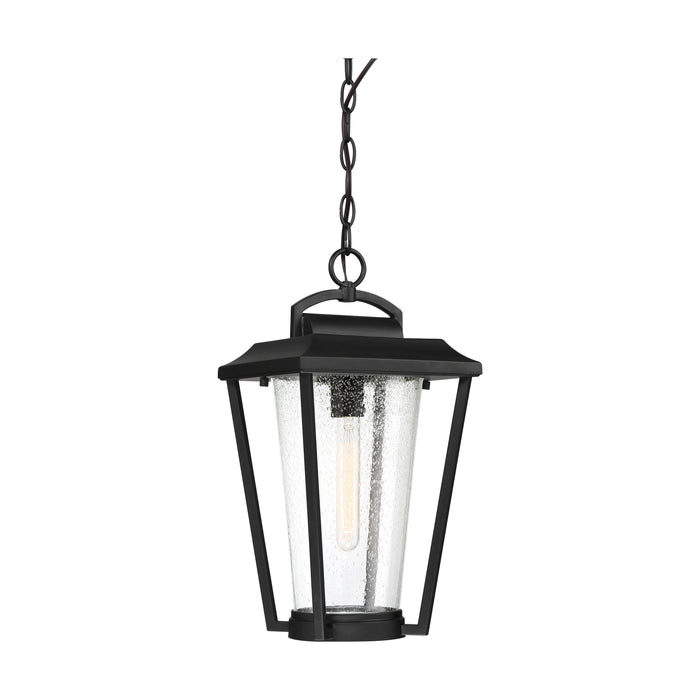 Lakeview One Light Hanging Lantern in Aged Bronze / Clear