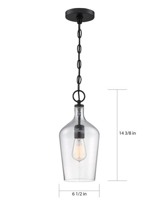 Hartley One Light Pendant in Matte Black / Clear Glass