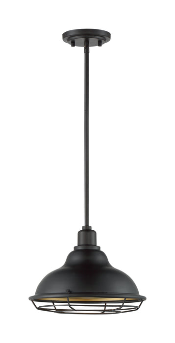 Newbridge One Light Pendant in Dark Bronze / Gold