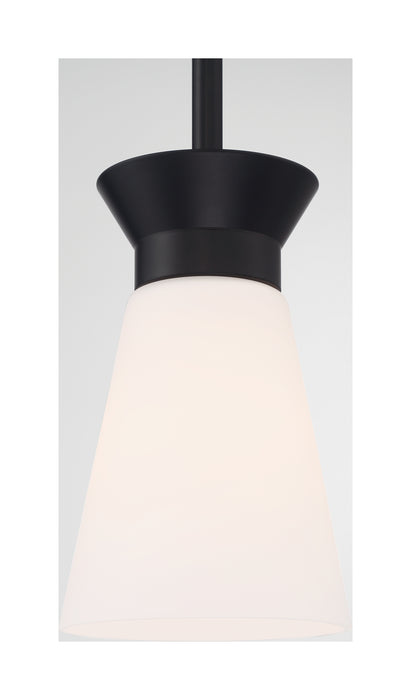 Caleta One Light Mini Pendant in Black