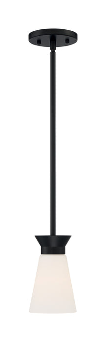 Caleta One Light Mini Pendant in Black