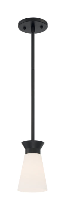 Caleta One Light Mini Pendant in Black