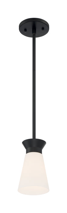 Caleta One Light Mini Pendant in Black