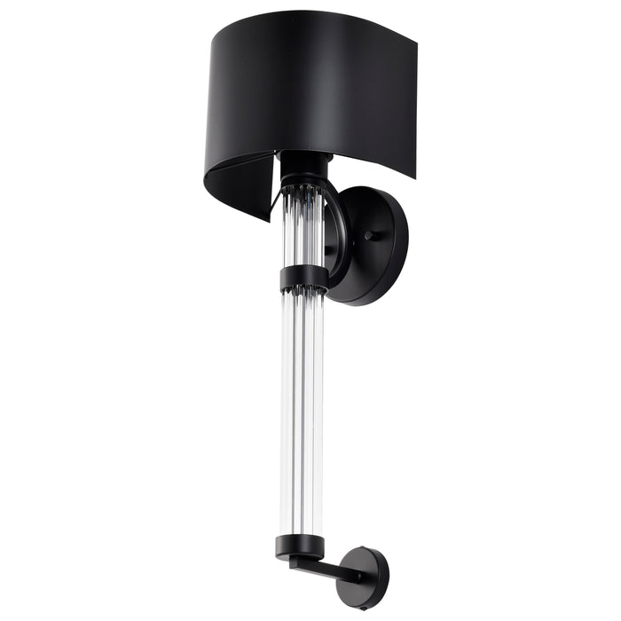 Teagon One Light Wall Sconce in Matte Black