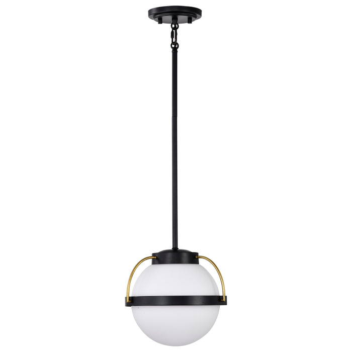 Lakeshore One Light Pendant in Matte Black