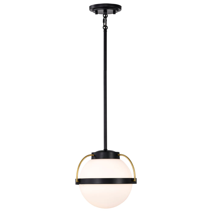 Lakeshore One Light Pendant in Matte Black