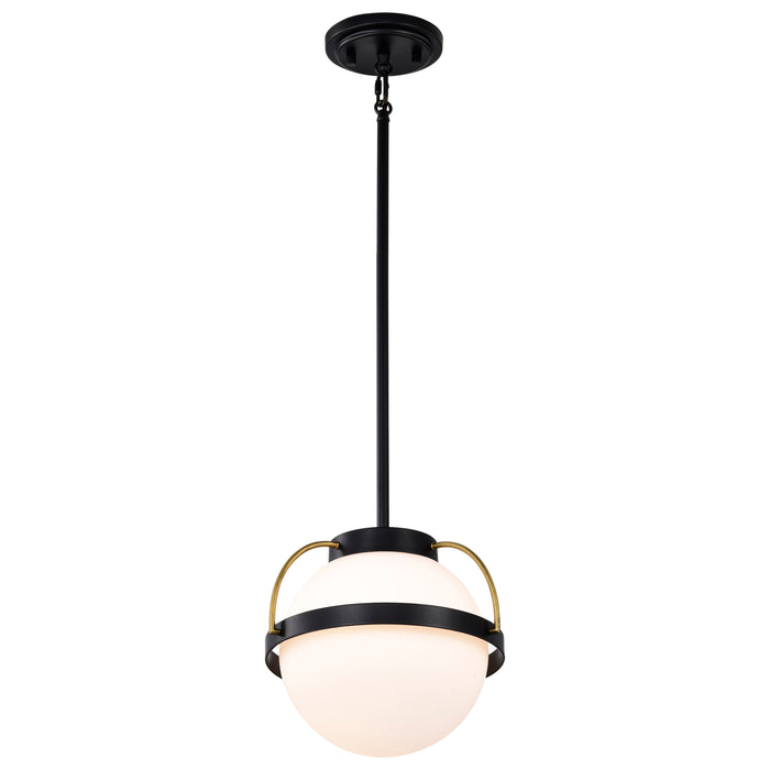 Lakeshore One Light Pendant in Matte Black