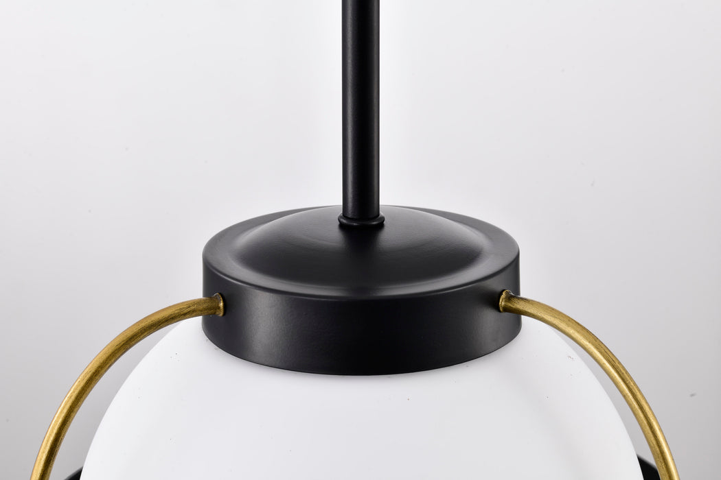 Lakeshore One Light Pendant in Matte Black