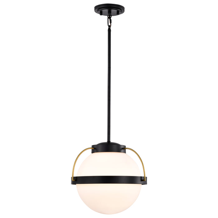 Lakeshore One Light Pendant in Matte Black