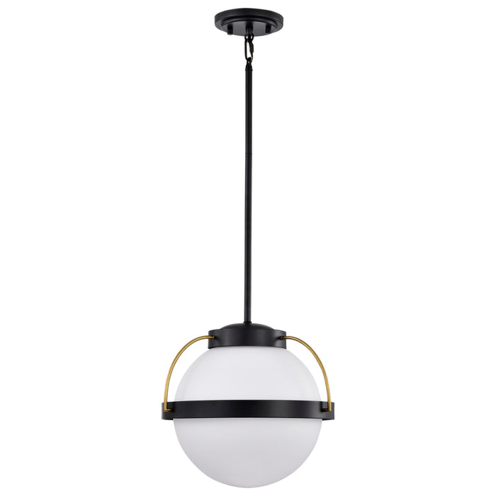 Lakeshore One Light Pendant in Matte Black