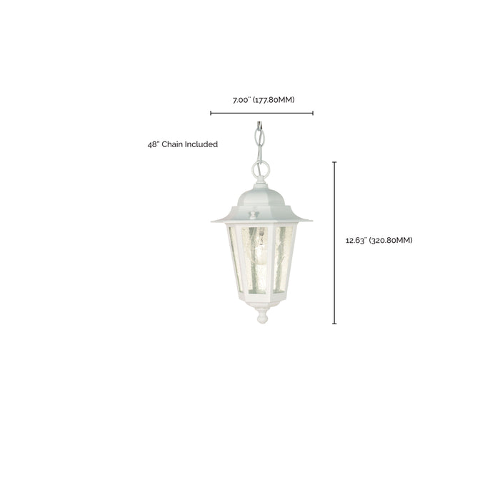 Cornerstone One Light Hanging Lantern in White