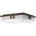 Myhouse Lighting Progress Lighting - P3448-2030K9 - LED Ceiling/Wall Mount - Helm Led - Antique Bronze