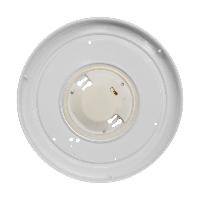 LED Flush Mount in White