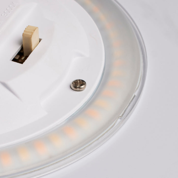 LED Flush Mount in White