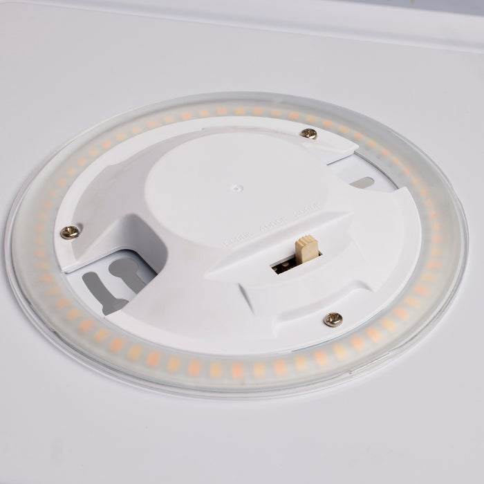 LED Flush Mount in White