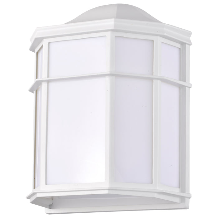 LED Cage Lantern Fixture in White