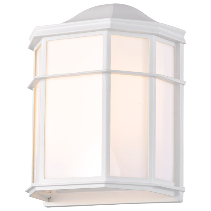 LED Cage Lantern Fixture in White