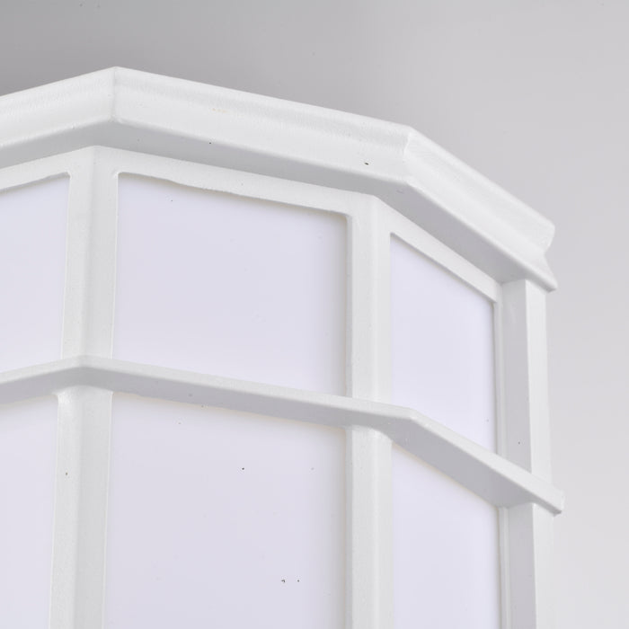 LED Cage Lantern Fixture in White