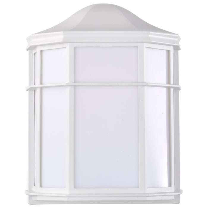 LED Cage Lantern Fixture in White