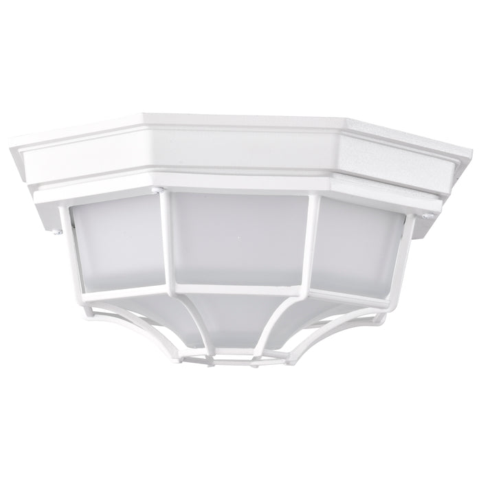 LED Spider Cage Fixture in White