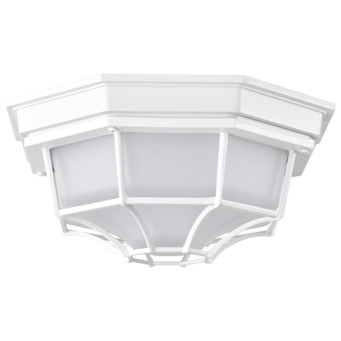 LED Spider Cage Fixture in White