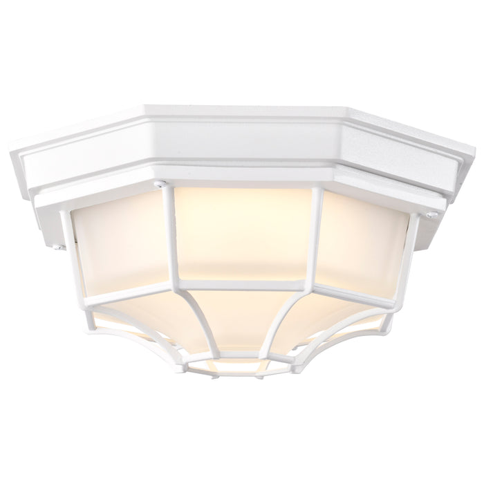 LED Spider Cage Fixture in White