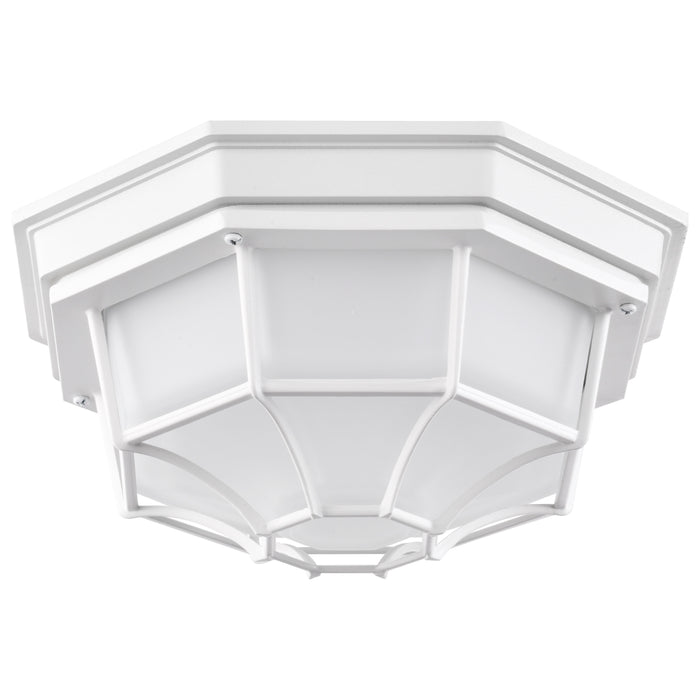 LED Spider Cage Fixture in White