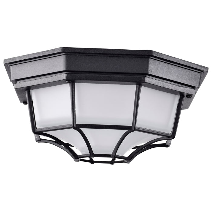 LED Spider Cage Fixture in Black