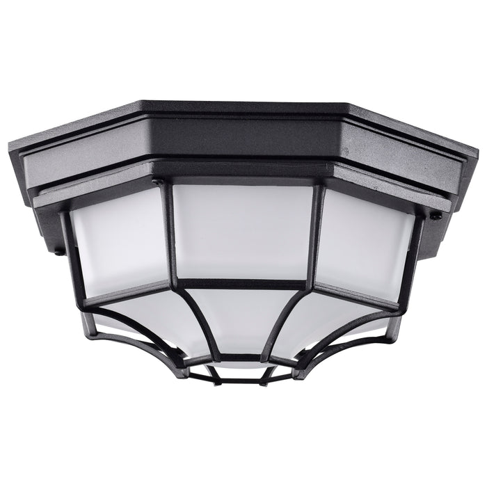 LED Spider Cage Fixture in Black