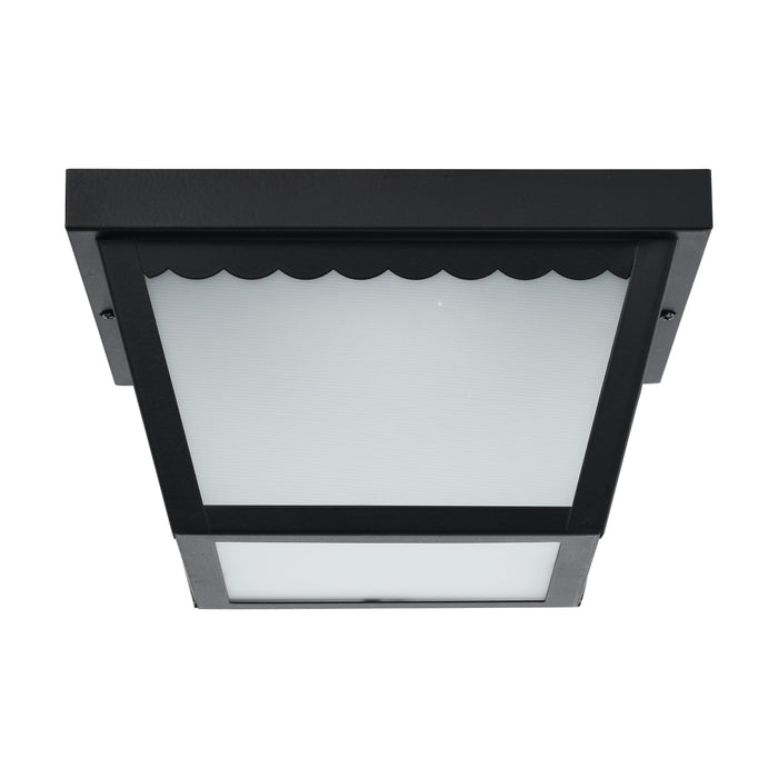 LED Flush Mount in Black