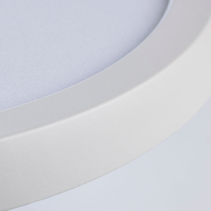 LED Flush Mount in White