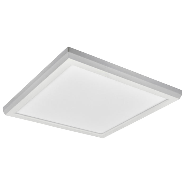 LED Flush Mount in White