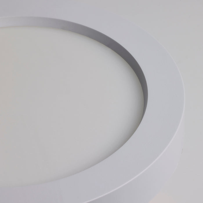 LED Disk in White