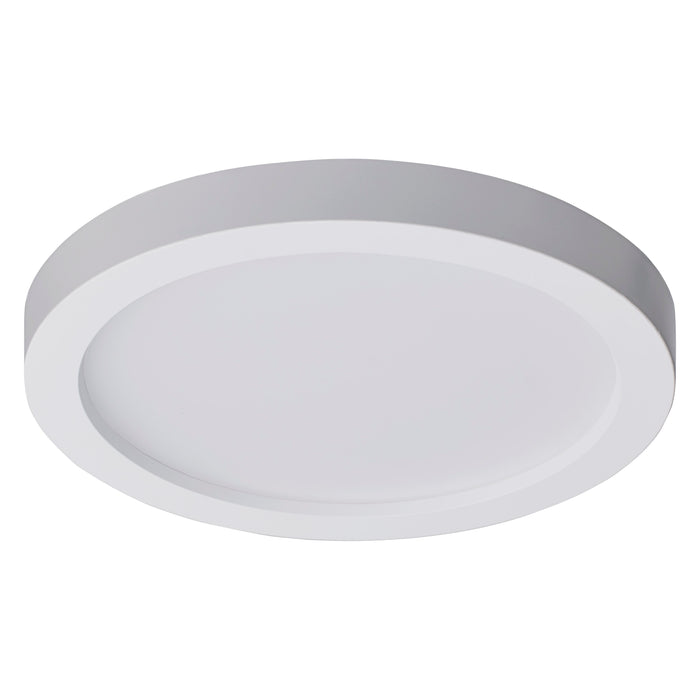 LED Disk in White