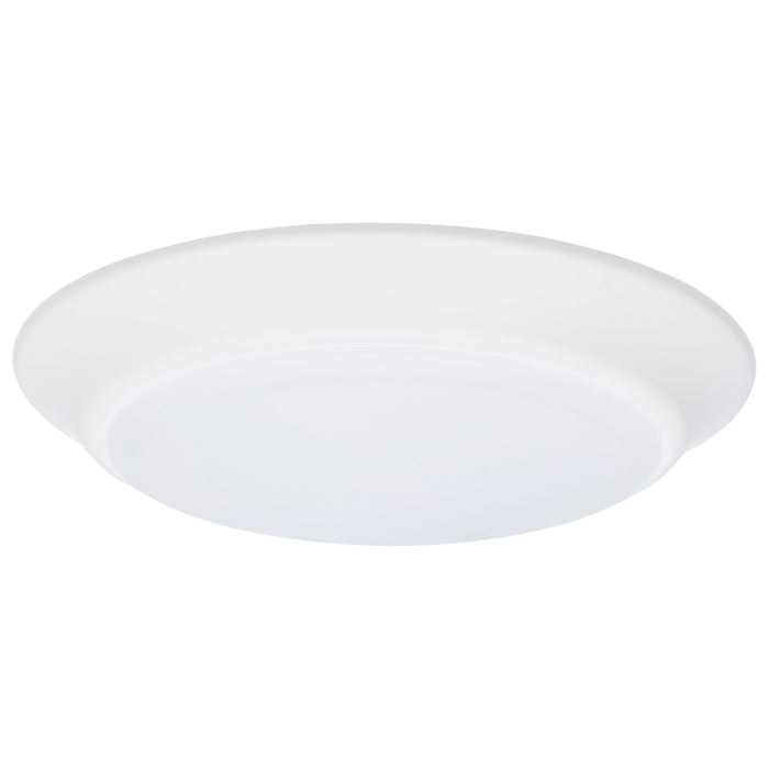 LED Disk Light in White