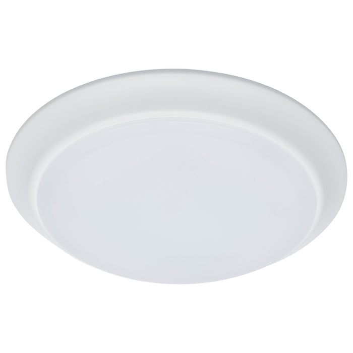 LED Disk Light in White