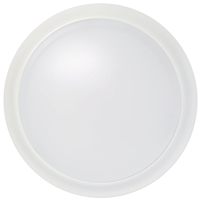 LED Disk Light in White