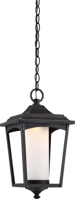 Essex LED Outdoor Hanging Lantern in Sterling Black