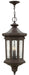 Myhouse Lighting Hinkley - 1602OZ - LED Hanging Lantern - Raley - Oil Rubbed Bronze