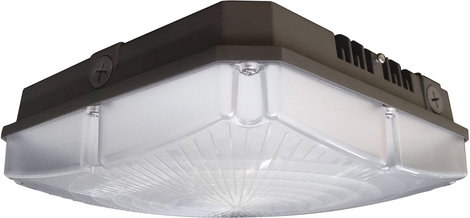 LED Canopy Fixture in Bronze
