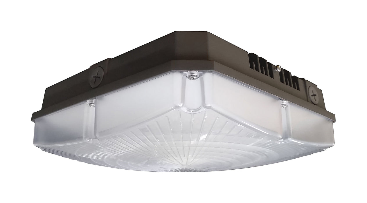 LED Canopy Fixture in Bronze