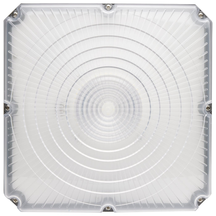 LED Canopy Fixture in Bronze