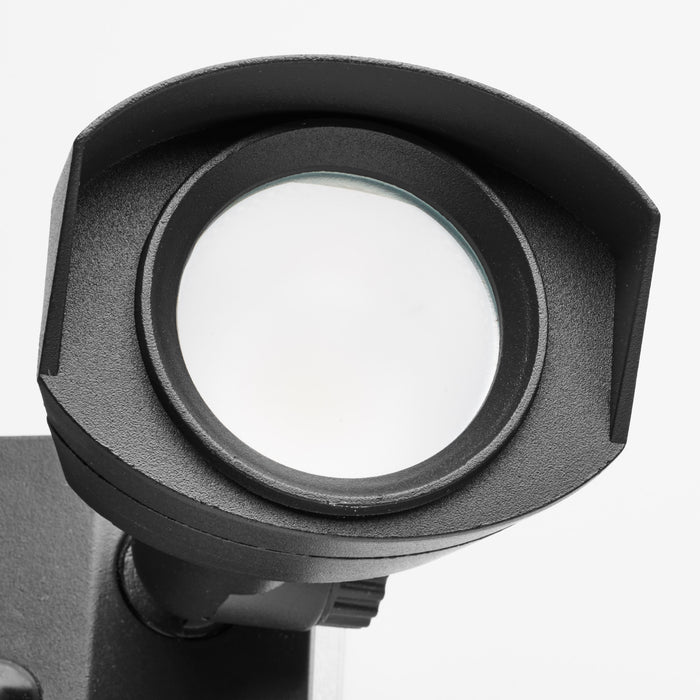 LED Dual Head Security Light in Black