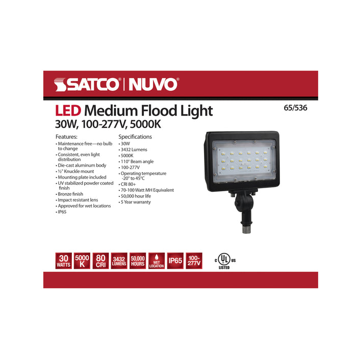 LED Flood Light in Bronze