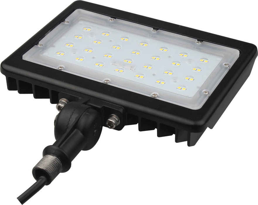 LED Flood Light in Bronze