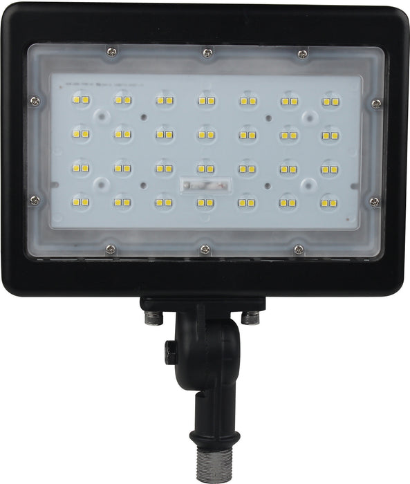 LED Flood Light in Bronze