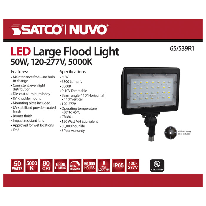 LED Flood Light in Bronze