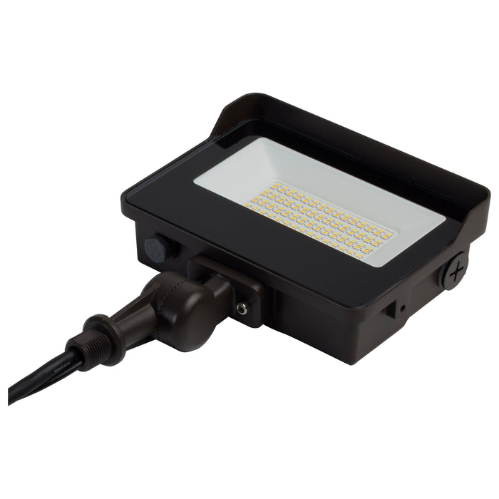 LED Flood Light in Bronze